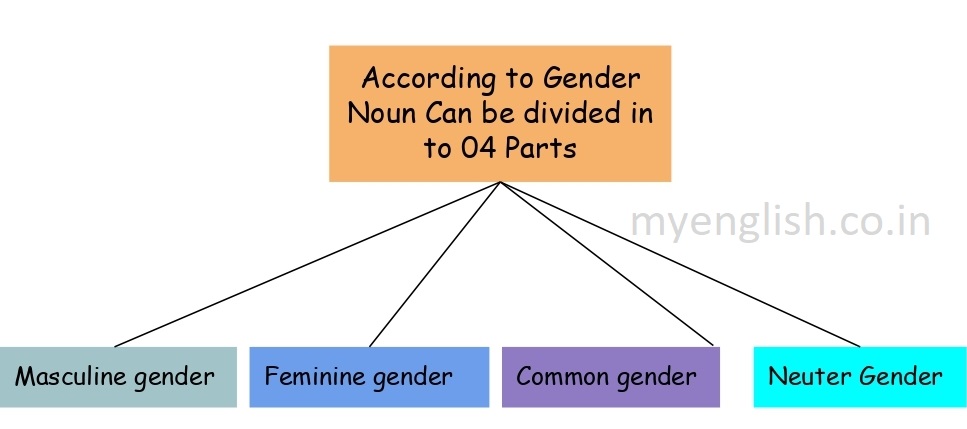 gender noun in english grammar